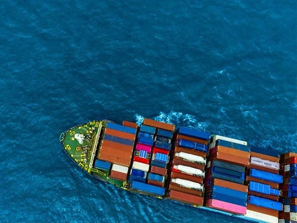 Sea Freight China To Vietnam Amazon FBA suppliers